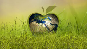 sustainability, energy, apple