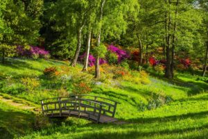 bridge, park, grass