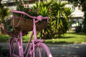 bycicle, bike, flowers
