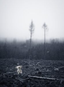 environmental damage, climate change, ecology, abandoned, pxclimateaction, environmental awareness, environmental protection, black and white, climate change, climate change, climate change, climate change, climate change, environmental protection