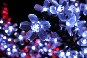 lights, neon, colors, christmas, neon, neon, neon, neon, neon, christmas, christmas