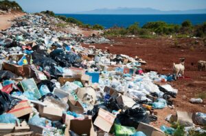 A goat standing near a large pile of trash on a coastal cliff